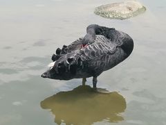 -呀诺达热带雨林