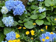 -人民公园(罗湖区)