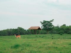 -良渚古城遗址公园