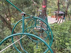 -芦仙山景区-飞越丛林探险乐园