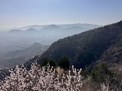-北京鹫峰国家森林公园