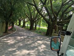 -李小龙乐园(顺德均安店)