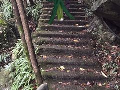 -夏霖九天银瀑风景区