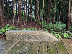 -瑞安圣井山景区