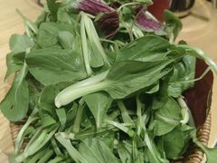 时令蔬菜篮-老凯俚酸汤鱼(多彩城店)