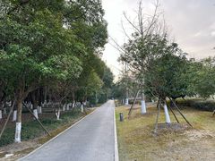 -九科绿洲