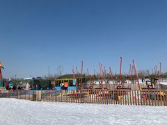 -绿野森林乐园冰雪季