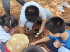 -白塘生态植物园