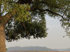 -东钱湖旅游度假区