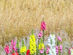 -抚仙湖万达文华酒店