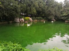 -昆明动物园