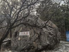 -阳台山自然风景区