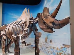 -国家自然博物馆