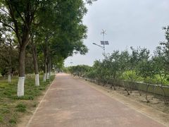 -大兴滨河森林公园