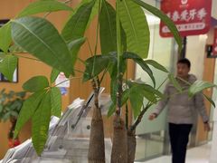 -雅悦齿科(顾村公园店)