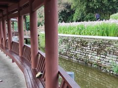 -龙头寺公园