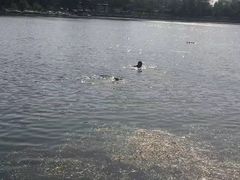 景点-什刹海-后海