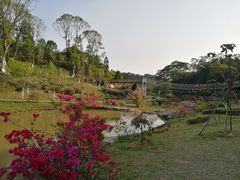 -东莞植物园