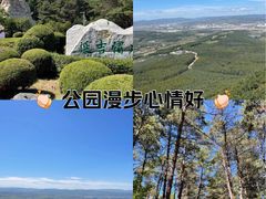 -帽儿山国家森林公园