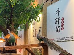 -大理董·董家小厨野生菌火锅(古城旗舰店)