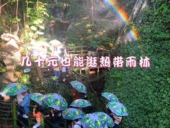 -青青世界