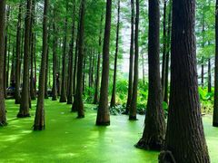 -云龙湖旅游景区