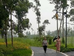 -白鹭湾湿地公园