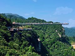 -梦幻奥陶纪景区