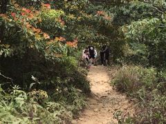 -梧桐山风景名胜区