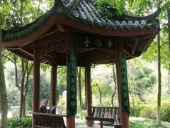 -龙头寺公园