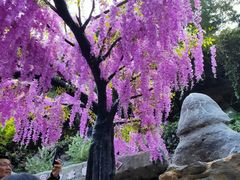 -古龙峡云天玻霸