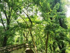 -青龙山国家森林公园
