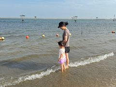 -碧海金沙
