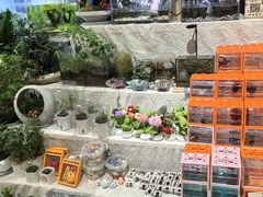 -伊藤洋华堂(温江店)