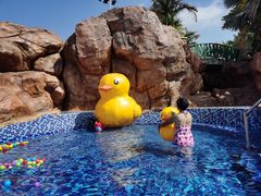 -采粤轩中餐厅(惠州金海湾喜来登度假酒店)