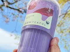 -星满杯TEAFUL(罗湖东门店)