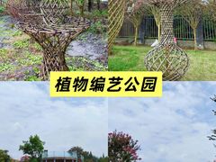 -老鼎万春卤菜(五代传承创始老店)