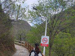 -大岭沟猕猴桃谷风景区