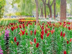 -石家庄市植物园