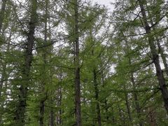 -十六蒲(桂林路店)