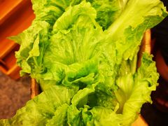 -老码头火锅(玉林店)
