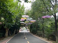 -张公山寨景区