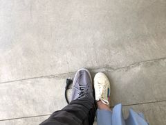 -金泽21世纪美术馆