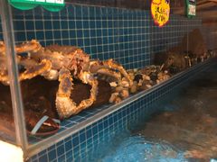 -开海酒店(经七路店)