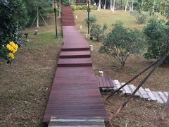 -厦门国家会计学院