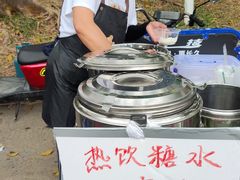 -王借岗森林公园