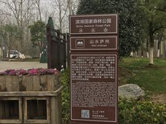 -合肥滨湖国家森林公园