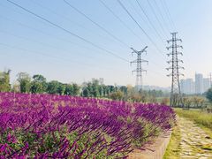 -白鹭湾湿地公园