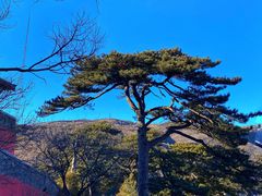 -妙峰山风景名胜区
