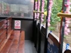 -西青郊野公园